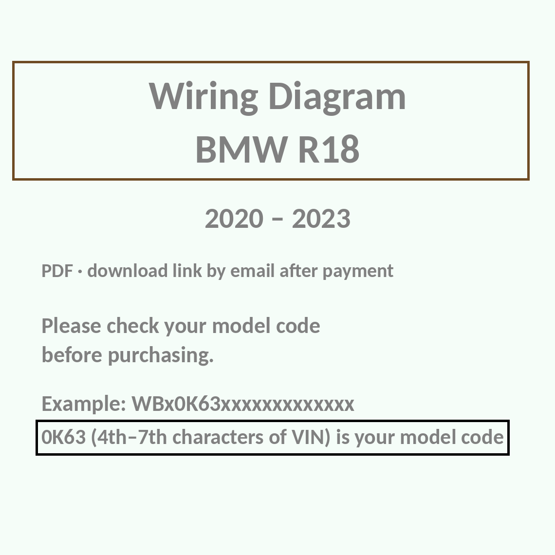 BMW R18 wiring diagram PDF